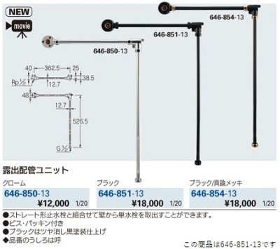 画像2: 水栓金具 カクダイ　646-851-13　露出配管ユニット//ブラック