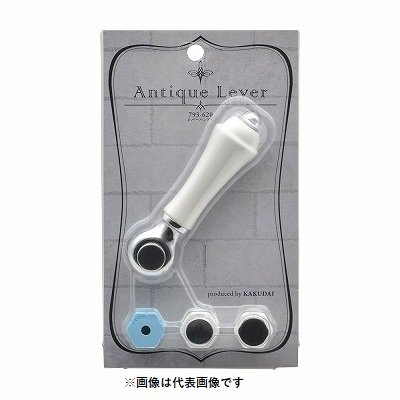 画像1: 水栓金具 カクダイ　793-620　水栓本体部品 レバーハンドル ネオパック