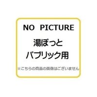 電気温水器 TOTO　REW12A1DRRSCM　湯ぽっと(セット) パブリック 洗面・手洗い用 約12L 据え置きタイプ 先止め式 [■]