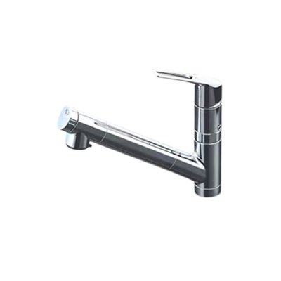 画像1: KVK KM6001ZEC2TN 浄水器内蔵用シングルシャワー付混合栓 (eレバー) 寒冷地用