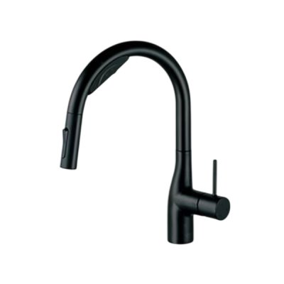画像1: KVK KM6092SCECM5 ビルトイン浄水器用シングルシャワー付混合栓 (Wセンサー付) (ｅレバー) マットブラック ACタイプ 浄水カートリッジセット付