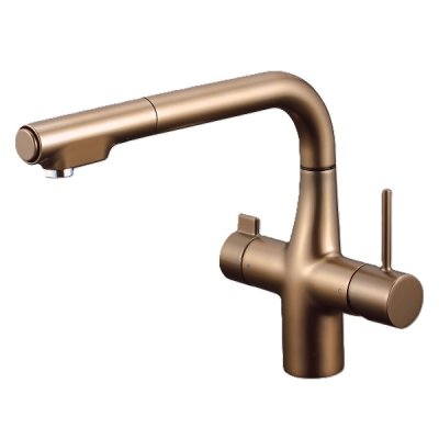 画像1: KVK KM6121ECBR ビルトイン浄水器用シングルシャワー付混合栓(eレバー) 浄水カートリッジセット別売 ノーブルアンバー