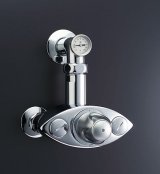 画像: 水栓金具 INAX/LIXIL　BF-20TM-25A　大型サーモスタット パブリック向け 温度計付 一般地 逆止弁付  受注生産品 [★§]