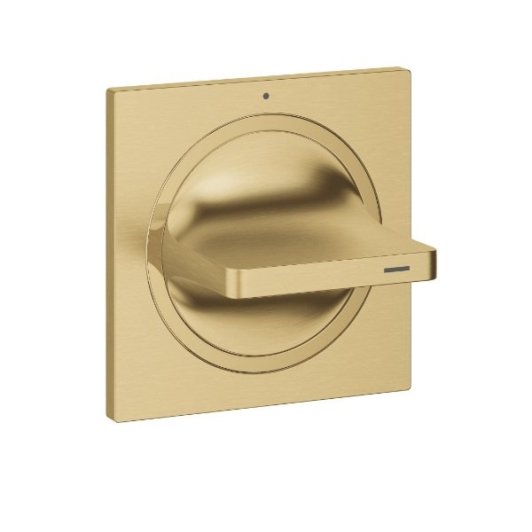 画像1: グローエ 19334GN1J 浴室用水栓 アリュール・埋込ストップバルブ化粧部 ブラッシュドクールサンライズ (1)