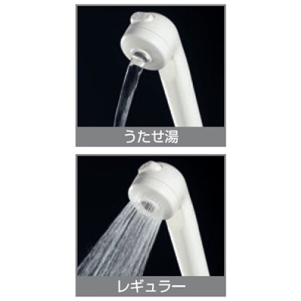 画像2: 配管部品 KVK　PZ24625　うたせ湯シャワーヘッド (2)